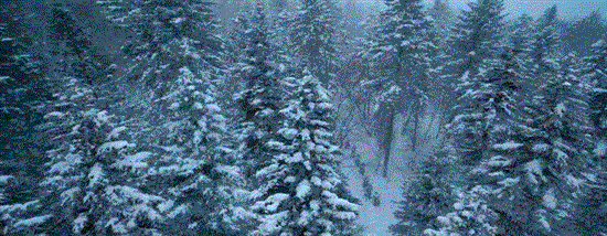 外景几乎全程在雪景中拍摄